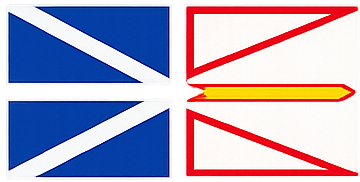 NLPNP